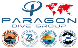 Paragon Dive
