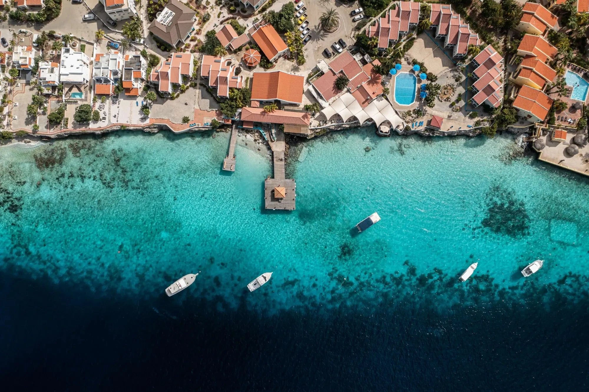 Master the Depths with Paragon